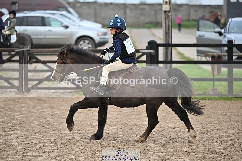 241110-093856-00032 - 40cm Showjumping