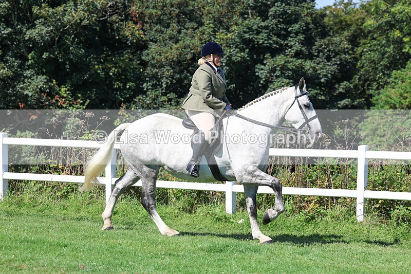 3E7A8371 - Class 4: Novice working Hunter