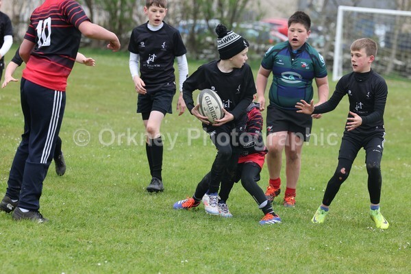 DAD22473 - Rookies/Mini Rugby on 7s Day