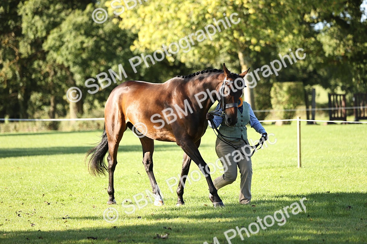 SBM_15797 - S1 - TSR in Hand Horse & Pony Showing