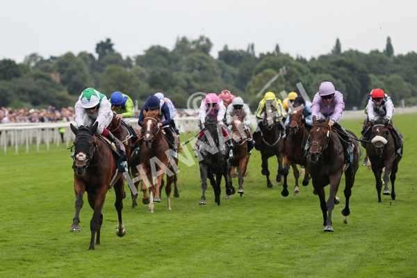 yr20082021r5-16 - Race 5 4.10pm British Stallion Studs EBF Convivial Maiden Stakes (Plus 10 Race)