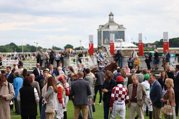 yr22052022r6-1 - Race 6: 6:05pm Sky Bet Sunday Series Stayers Stakes