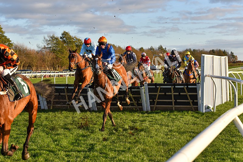 241123-Race 5-Bugise Seagull-7506 - Race 5