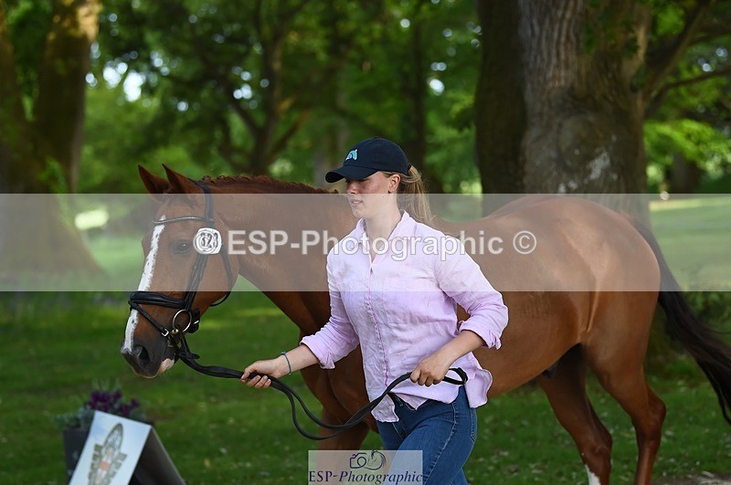 230525-173146-01503 - 323-CHESTNUT_BOBBY-Molly_Fletcher-WEDTrotUp+DR