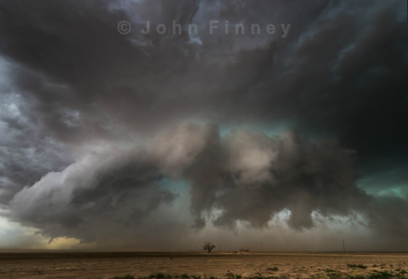 Texas Tornado Tree - Weather photography