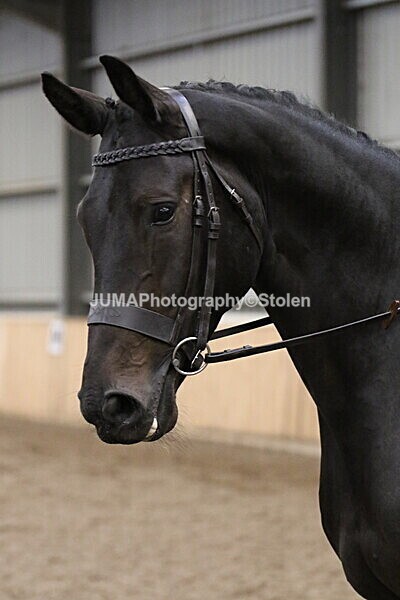 SIAL2692 - Sunday 14th Ridden