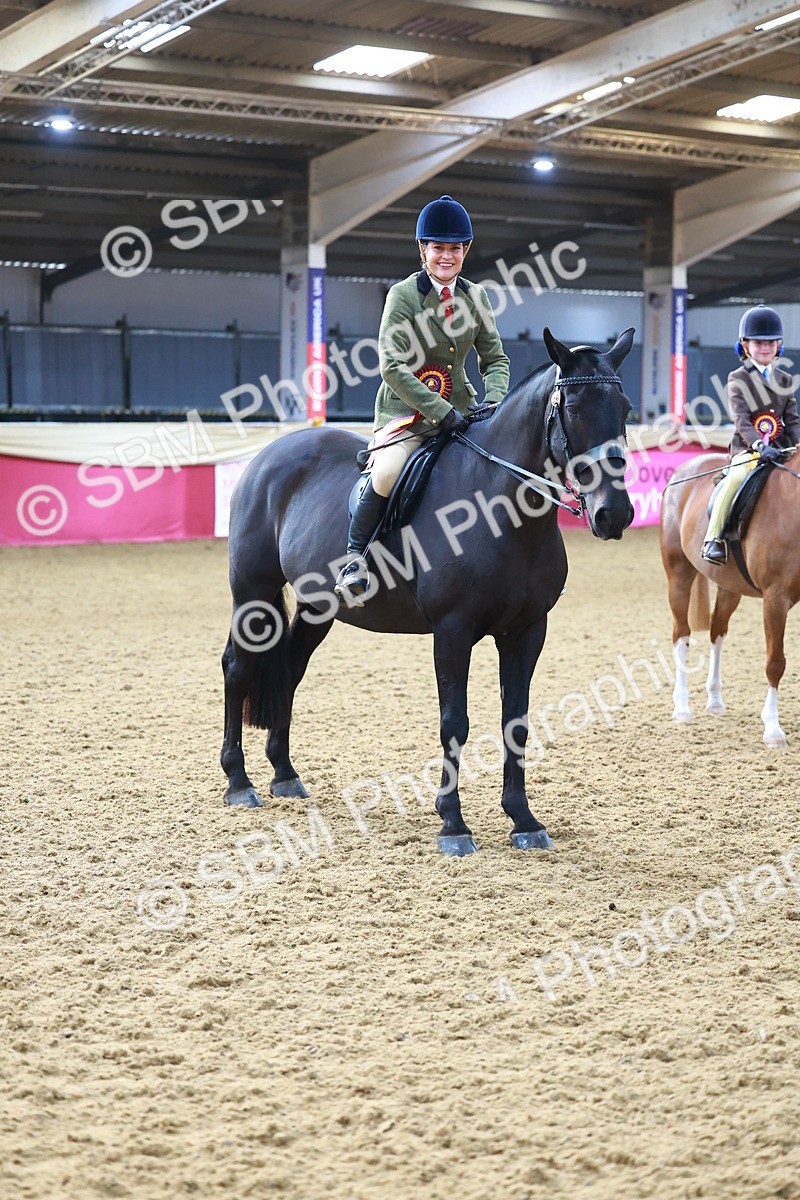 SBM_07750 - Class 101 - HOYS Veteran Qualifier - Ridden Diamond