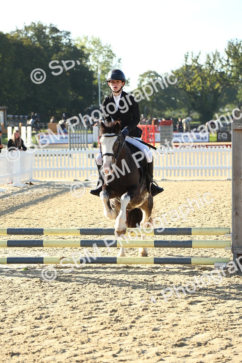 SBM_35015 - J5 - Junior Pony 50cm Championship