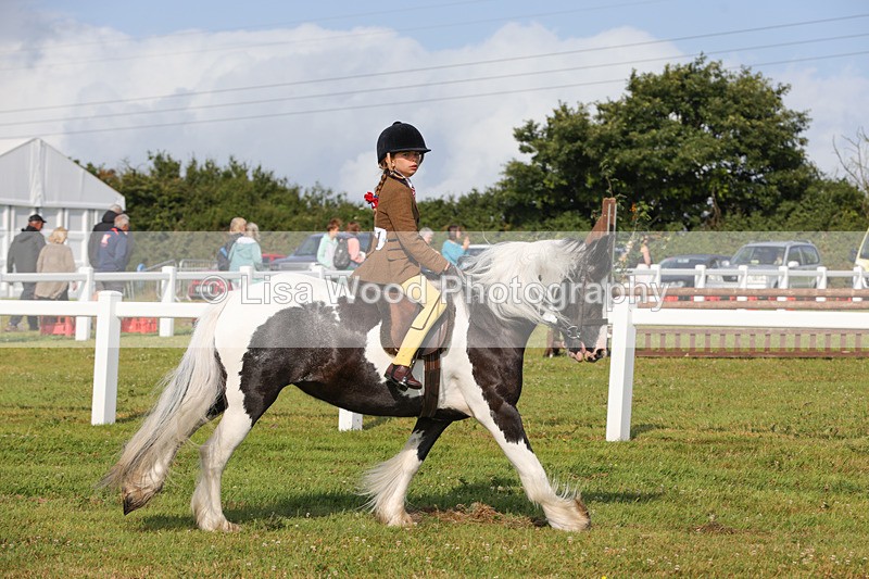 1X9A3255 - Class 28: Ridden Native/Trad Coloured Pony