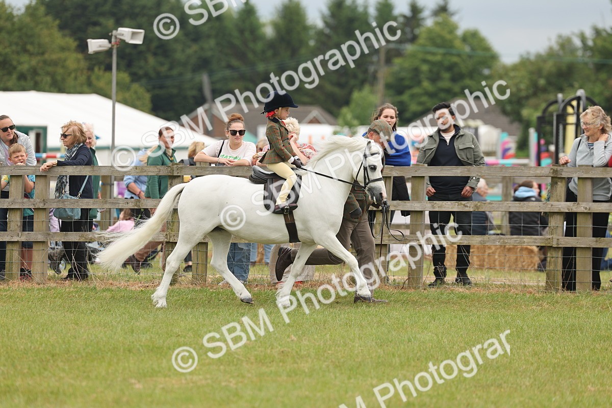 SBM_06674 - Class 74-75 - M&M Lead Rein and First Ridden Pony