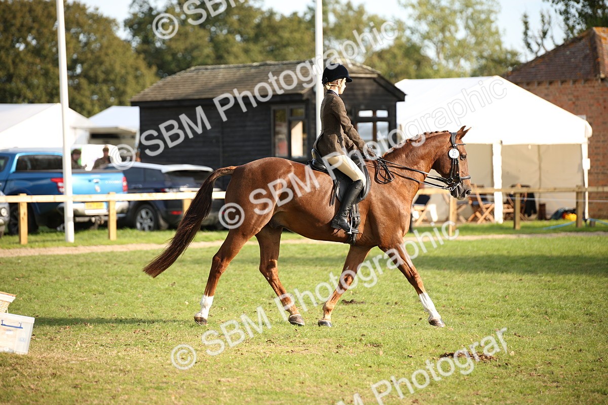 SBM_54297 - S27 - Mature Veteran - Ridden