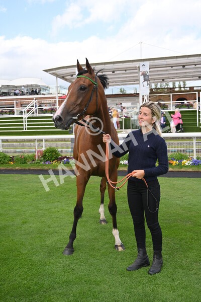 yr10062022r7-47 - Race 7 5.10pm Andy Thornton Hospitality Furniture Stakes