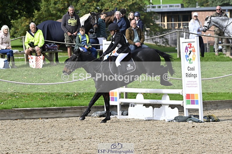 251005A-125656-03973 - Cls 08 Mini 70-75cm