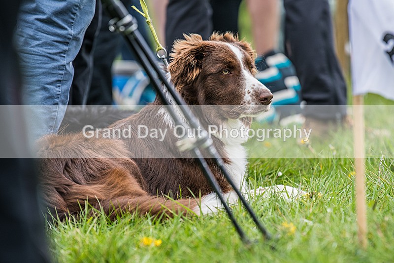 3 Peaks Finish-56 - The 3 Peaks Race Saturday 26th April 2025 - The Finish