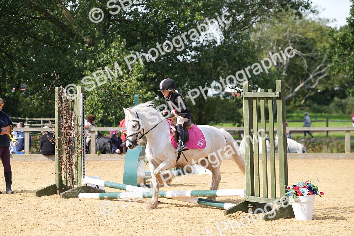 SBM_65750 - J2 - Mini Tour Junior Pony 30cm Championship
