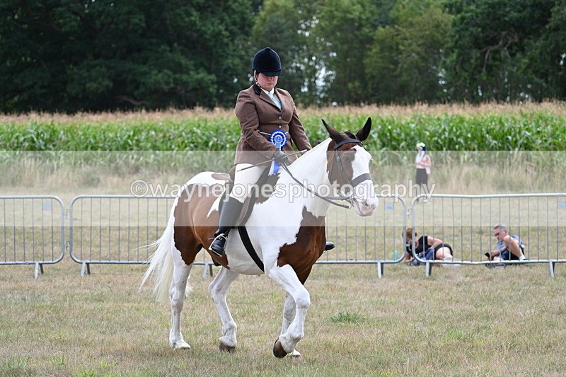 WJ7_5679 - Class 12 Ridden Cob