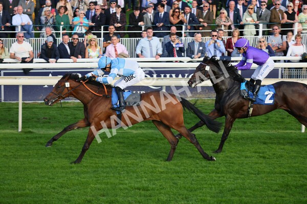 yr08102021r6-14 - Race 6 4.55pm Frank Whittle Partnership British EBF Restricted Novice Stakes