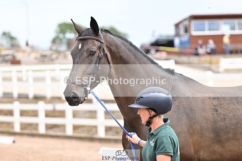 250716-143852-01254 - Trot Up 2.30 to 3.30