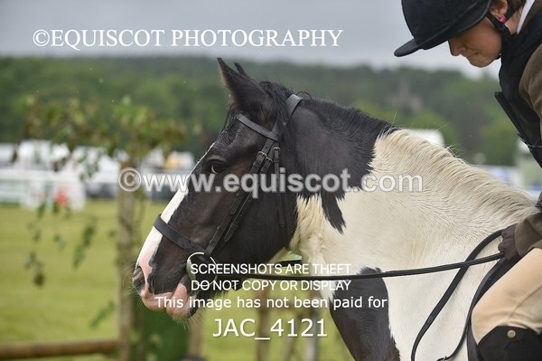 JAC_4121 - 40CM WORKING HUNTER