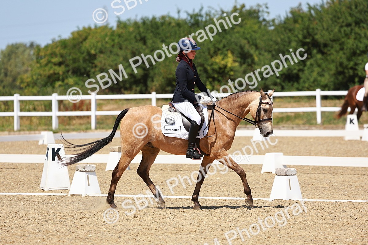SBM_011621 - Intro 3 - 13.00-14.10