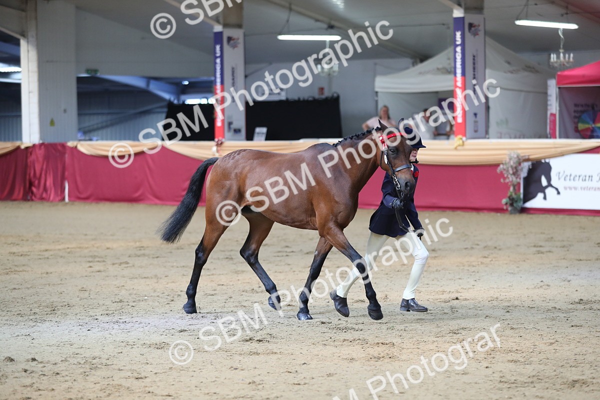 SBM_01342 - Class 3a Area IH Pre Vet