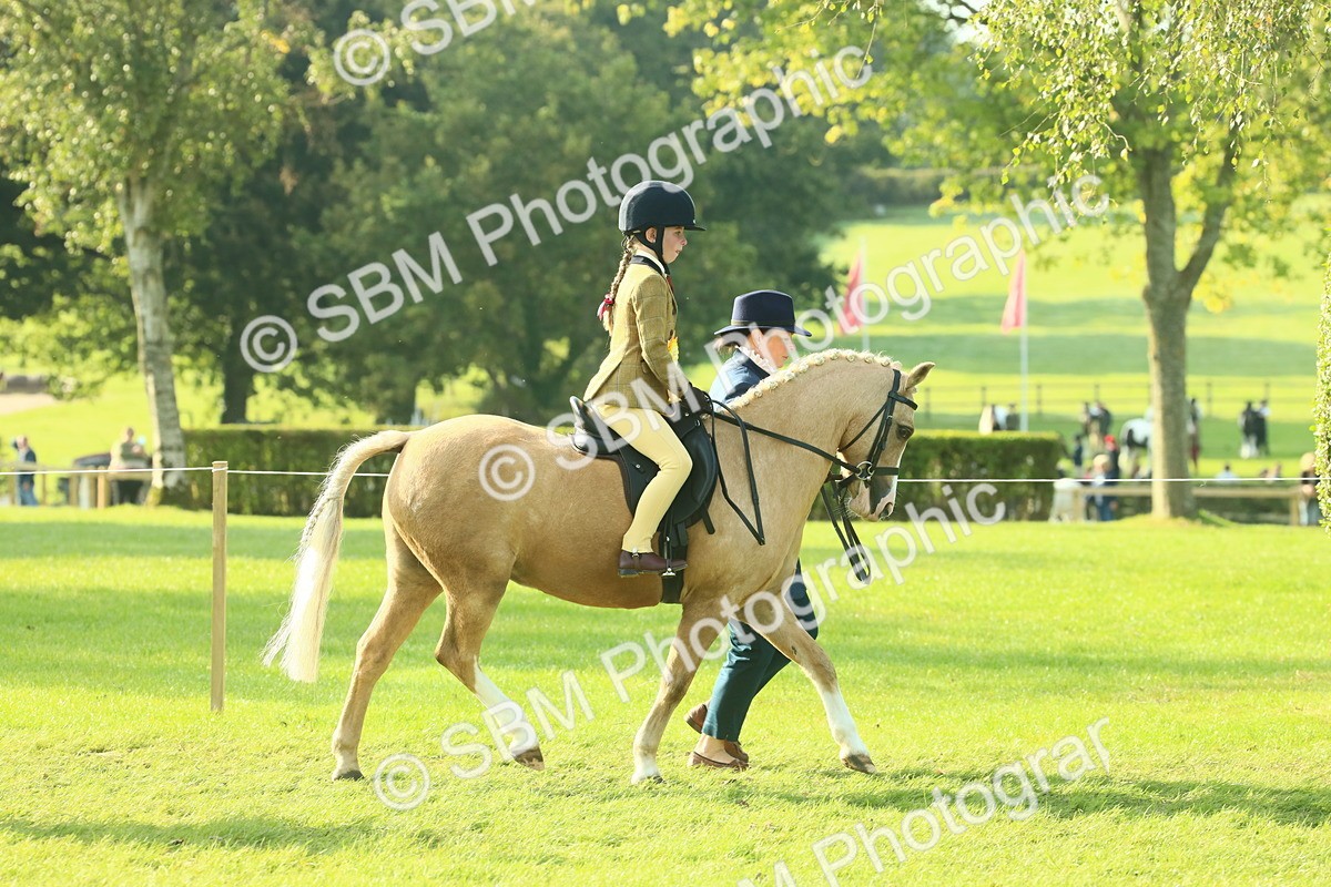 SBM_59283 - S38 - Starters Ridden Showing