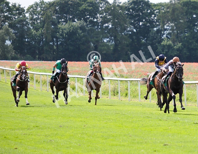 260724-Race 4-Yaajooz-01 - Race 4