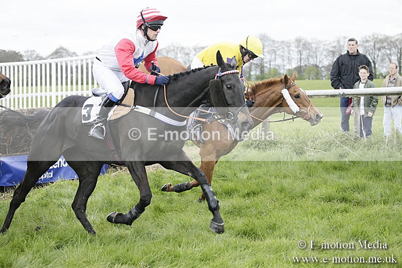 PtP 170417 35 - Old Berks Point-to-Point Lockinge 17/04/17