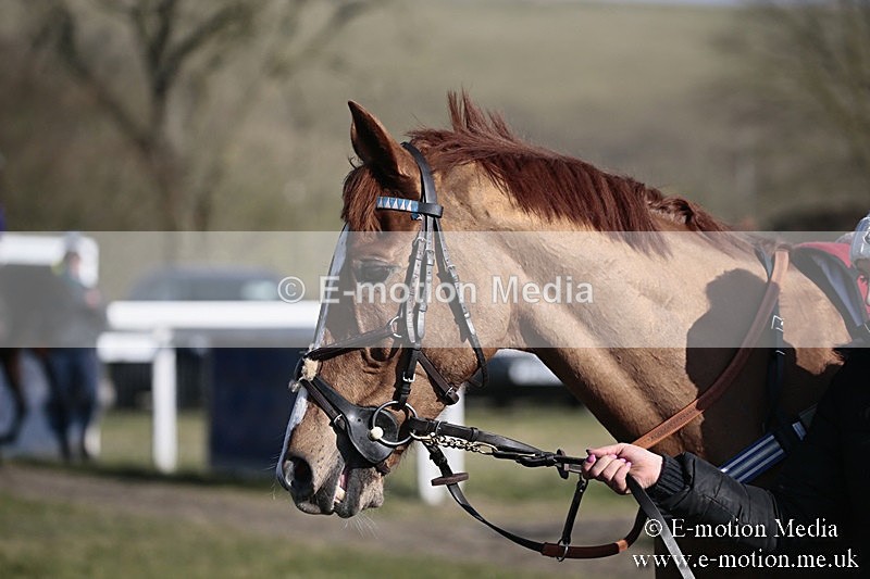 PtP 240218 306 - Vine & Craven Hunt Point-to-Point Barbury racecourse 24/02/18