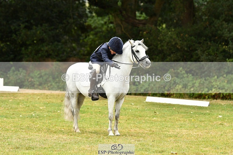 250820A-121054-05485 - 12 to 13.00