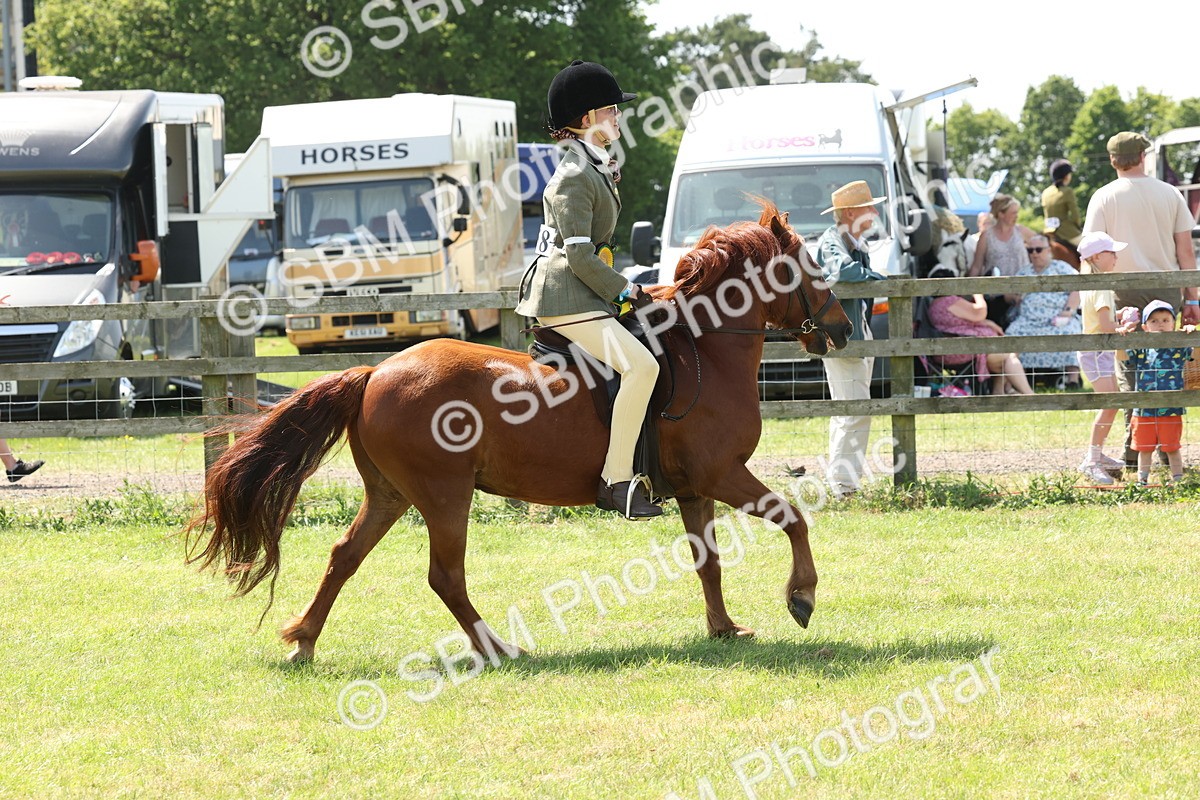 SBM_06877 - Class 26-30 - Mountain and Moorland Ridden