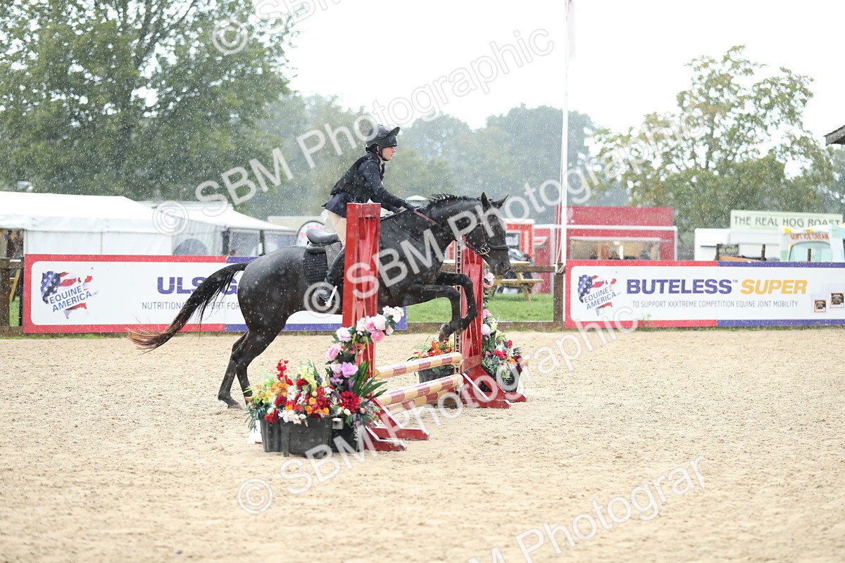SBM_37160 - J20 - Junior Horse 50cm Championship