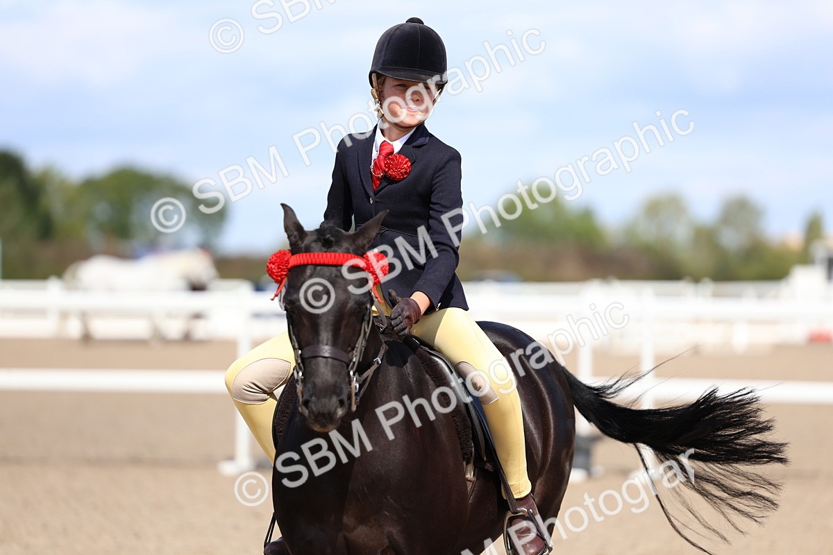 SBM_13342 - Class 311 - Ridden Show Pony Show Hunter Pony