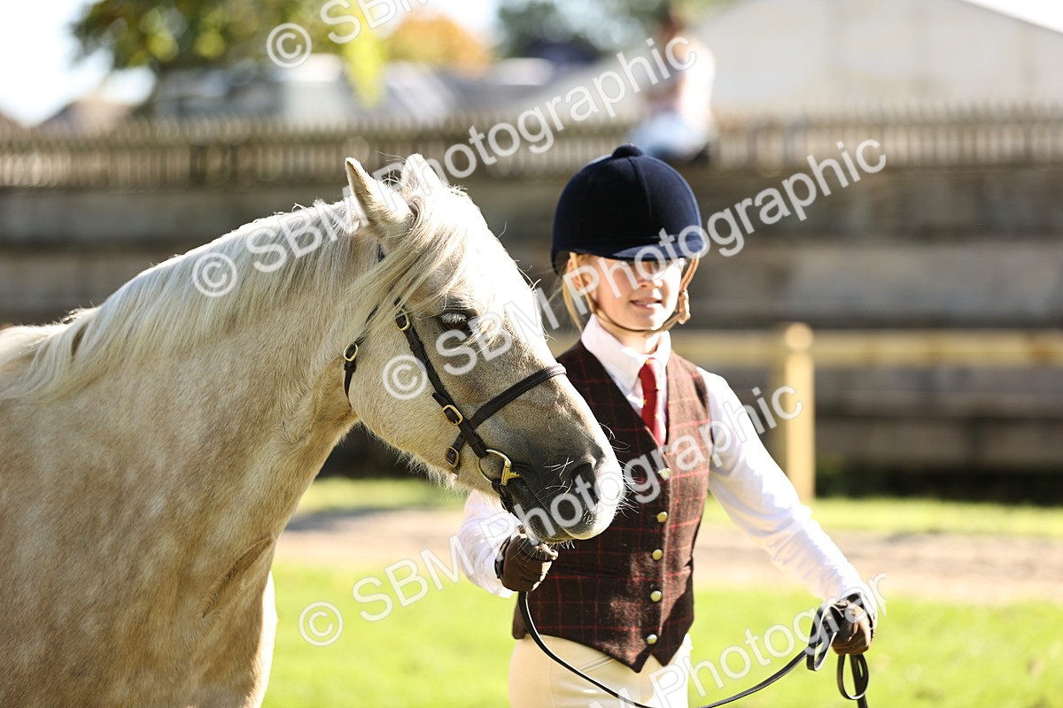 SBM_15900 - S1 - TSR in Hand Horse & Pony Showing