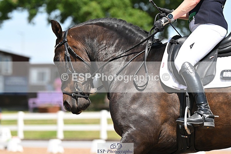 250620-141356-04156 - BD Cls 8 - Elementary 6