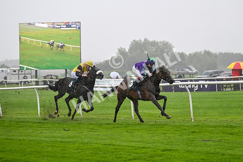 230725-Race 2-Magic Box-9891 - Race 2