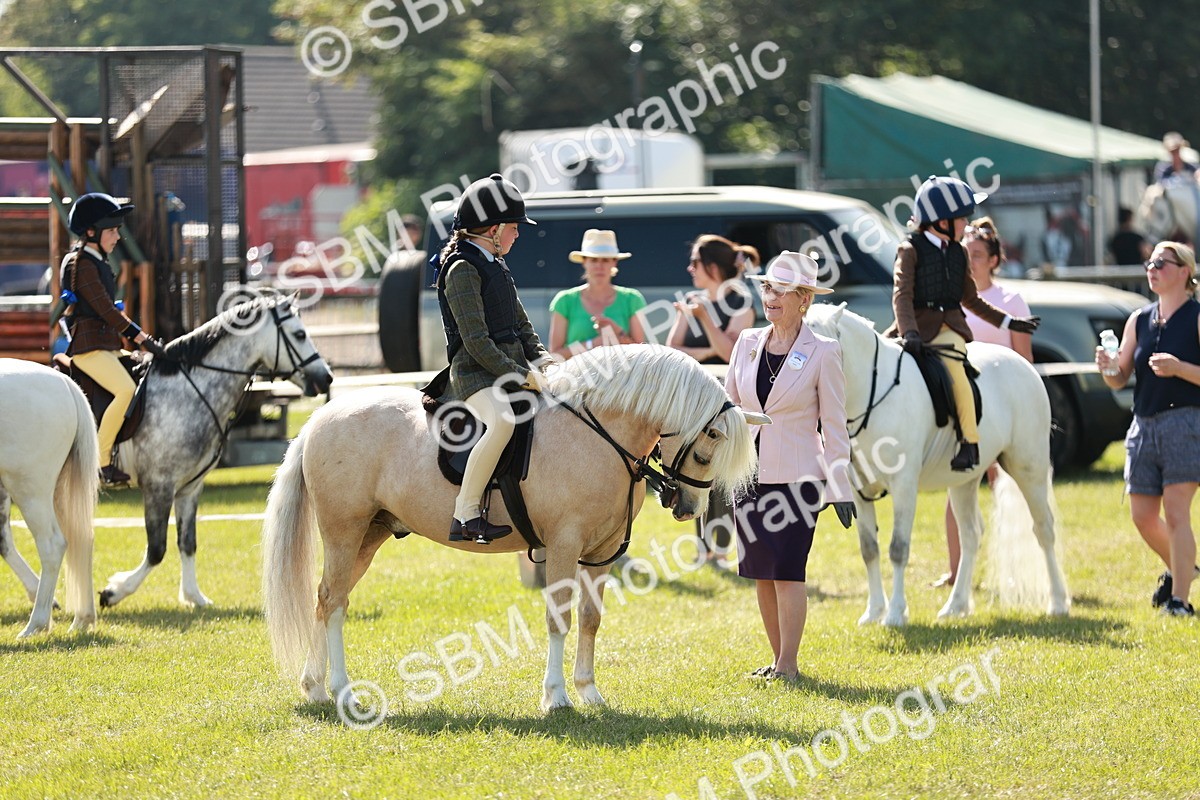 SBM_12659 - Class 106-107 - BSPS LIHS Working Sports Pony