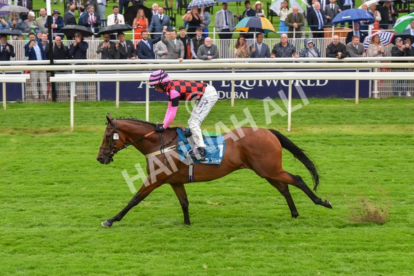 140723-Race 4-Andaleep-8263 - Race 4 3.50pm Azets Handicap