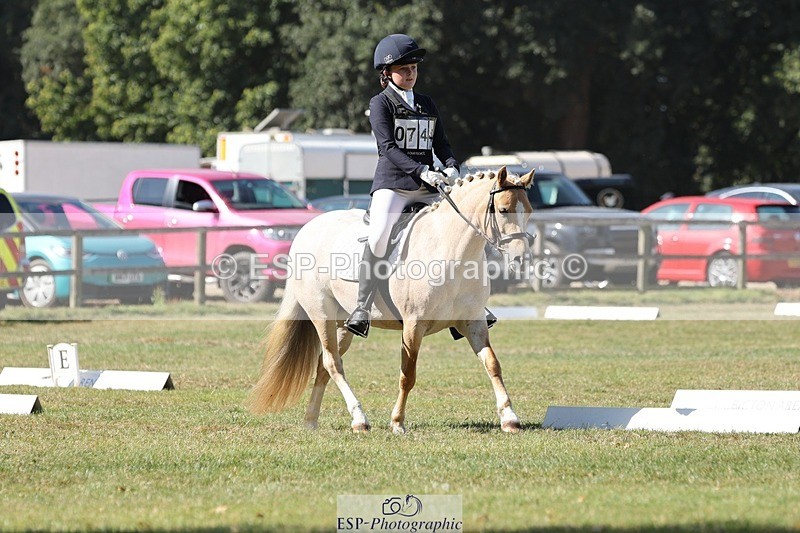 250823A-104148-27537 - Arena C