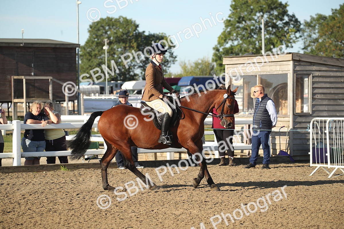SBM_11507 - Class 502 - Riding Club Horse