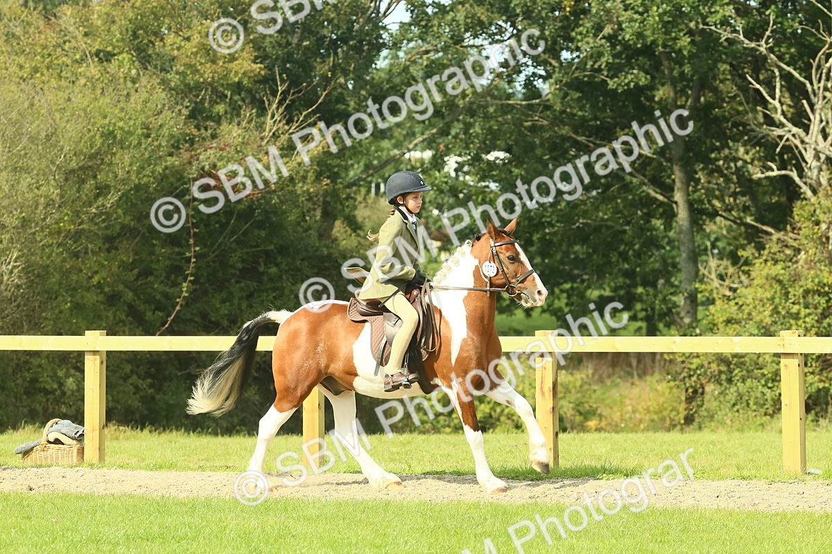 SBM_67479 - S56 - Coloured Pony Ridden