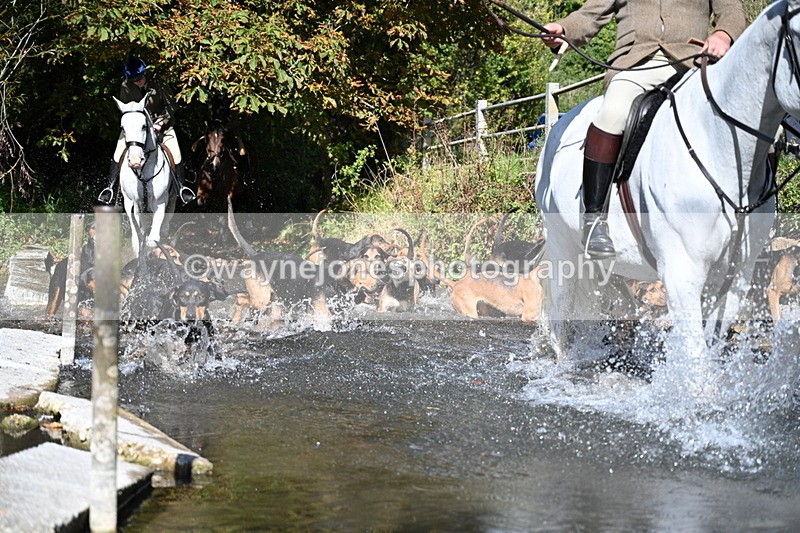WJ7_5954 - Hounds Water Crossing