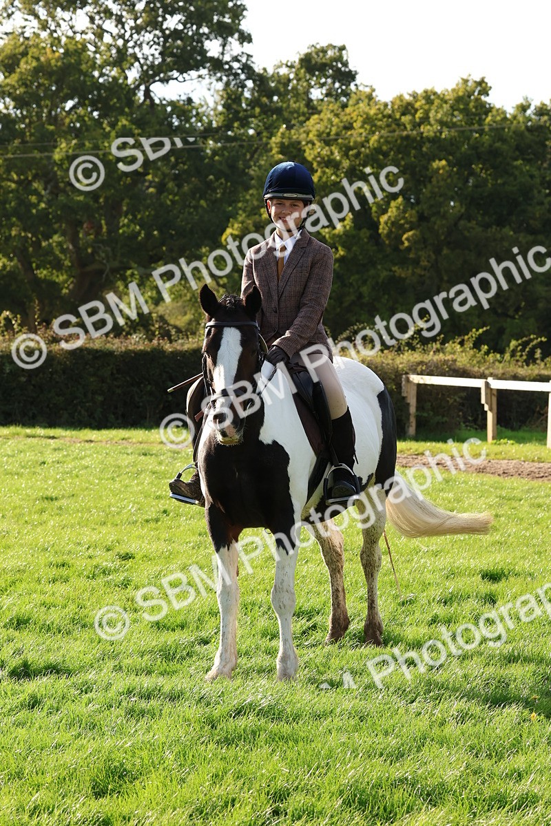 SBM_52636 - S13 - Pony Club Pony