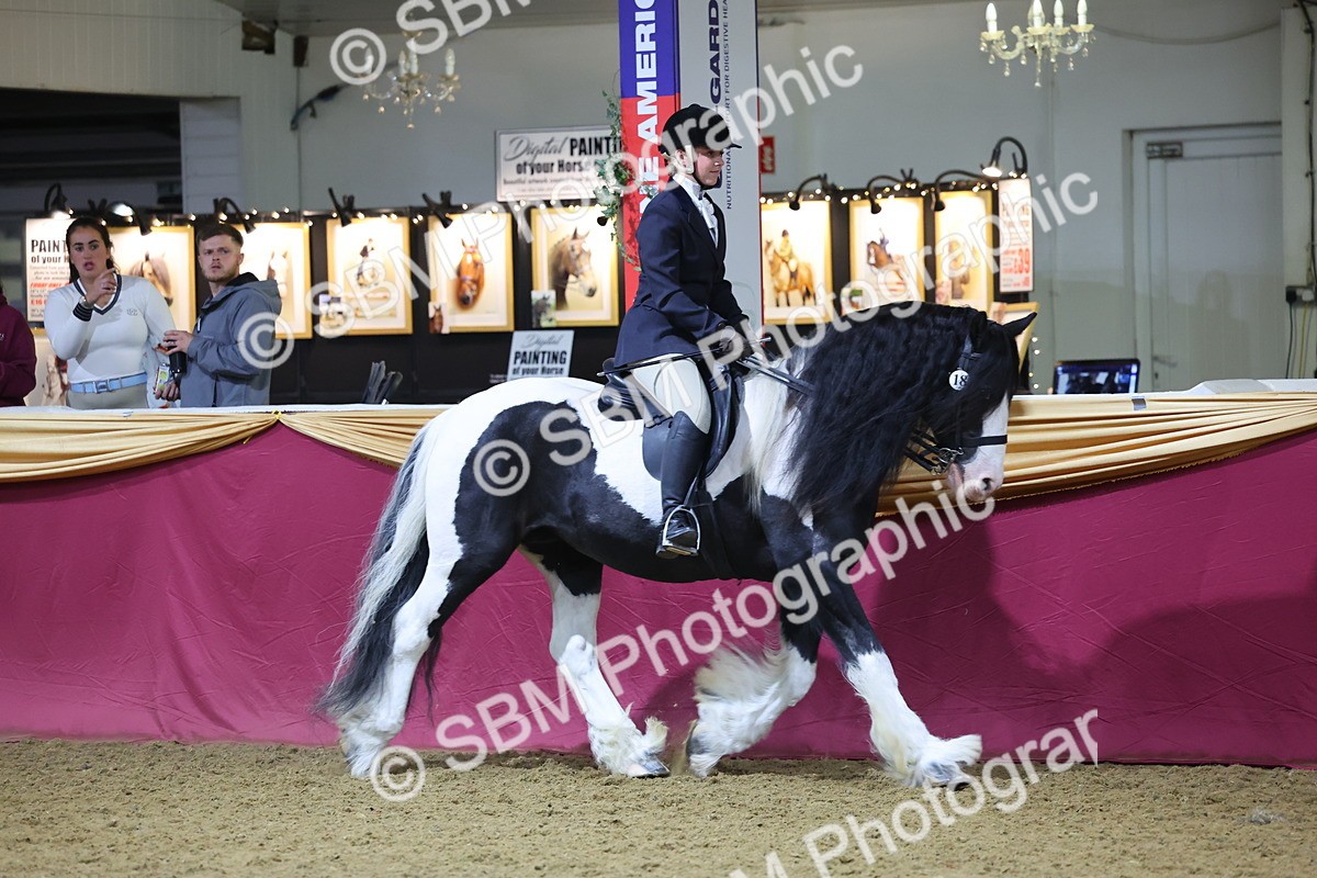 0B8A4536 - Class P Veteran Champ