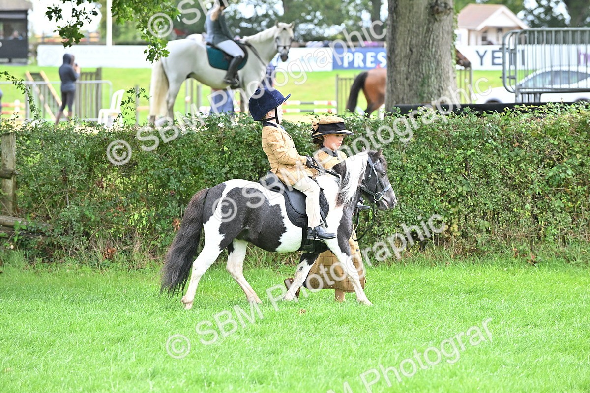 SBM_40132 - S20 - Lead Rein Mountain & Moorland Pony