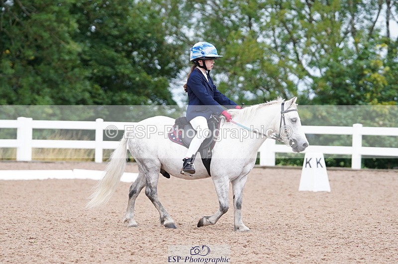 240809A-110018-00699 - Dressage Competition