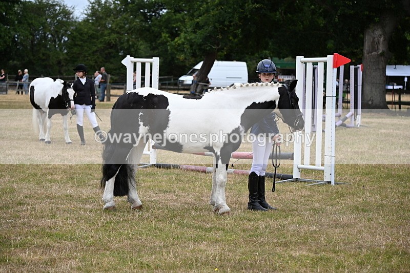 WJ6_4386 - Class 10 Coloured In-hand