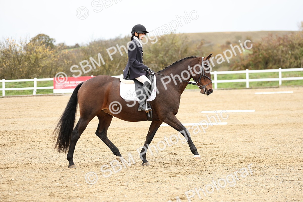SBM_002992 - Class 8 - Novice 1