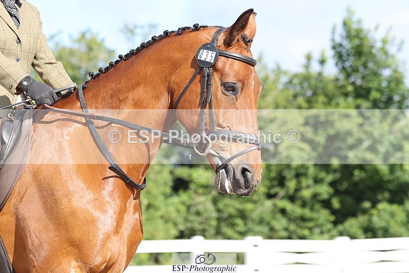 240706A-091733-00160 - Cls 2A Snr Prelim 7 Start to 10 break