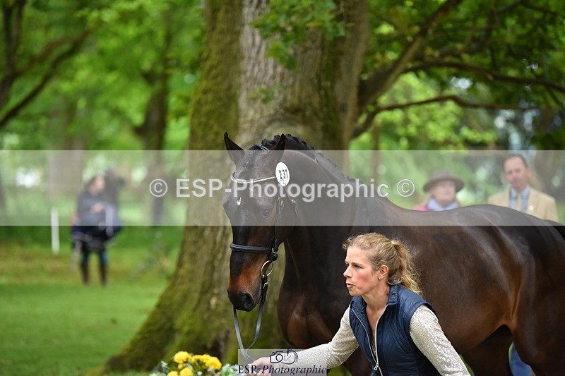 240522-170414-01362 - 237-UNDERDOG_Z-Izzy_Taylor